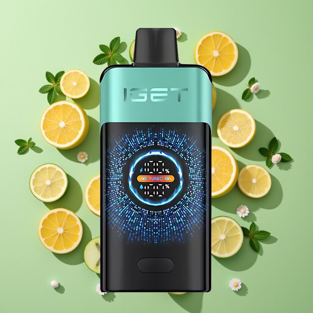 IGET ONE 12000 Puffs Wegwerp Vape Bergbron Munt IJs – Groot Scherm, 2700 mAh, Dual Mesh Coil