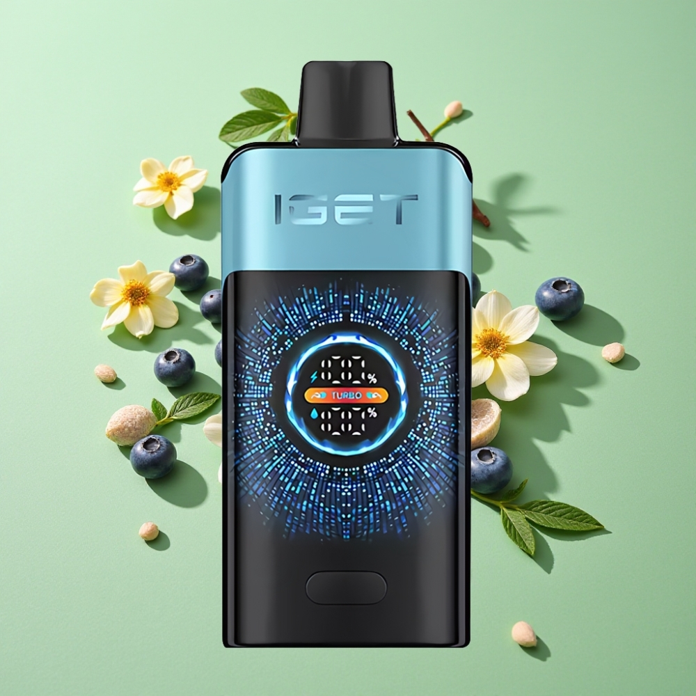 IGET ONE 12000 Puffs Wegwerp Vape Bosbes IJs – Dual Mesh, 2700 mAh, Groot Scherm