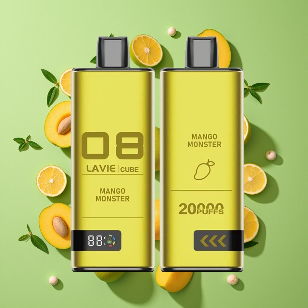 Lavie Cube 20000 Puffs Wegwerp Vape Mango Monster 28ML Type C