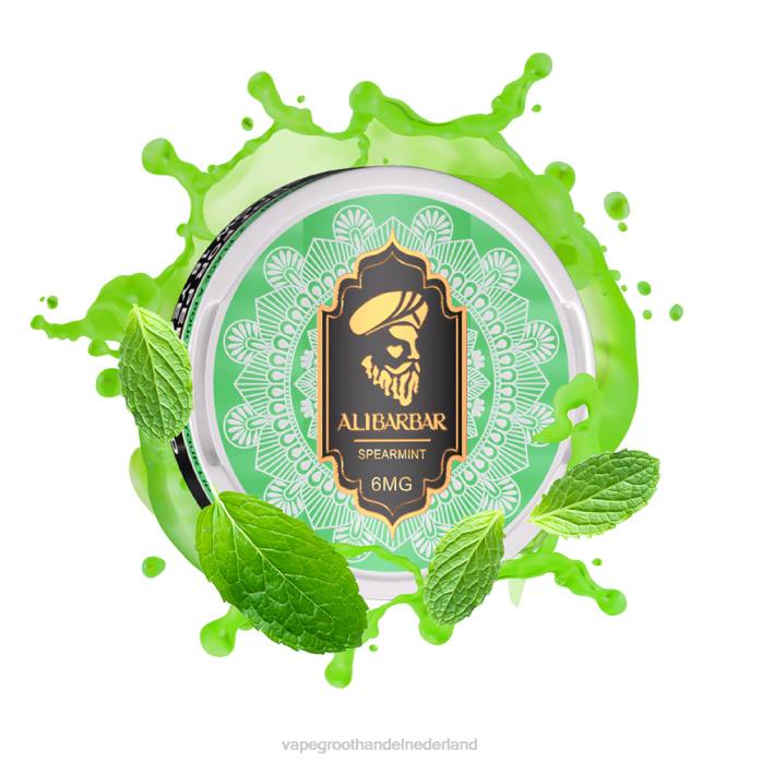 2NRV56 groene munt - wegwerp Vape Groningen ALIBARBAR nicotinezakje