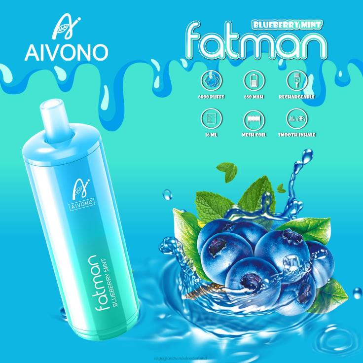 Aivono FATMAN 6800 bosbessen munt - TZFB422 Wegwerpbaar Vape