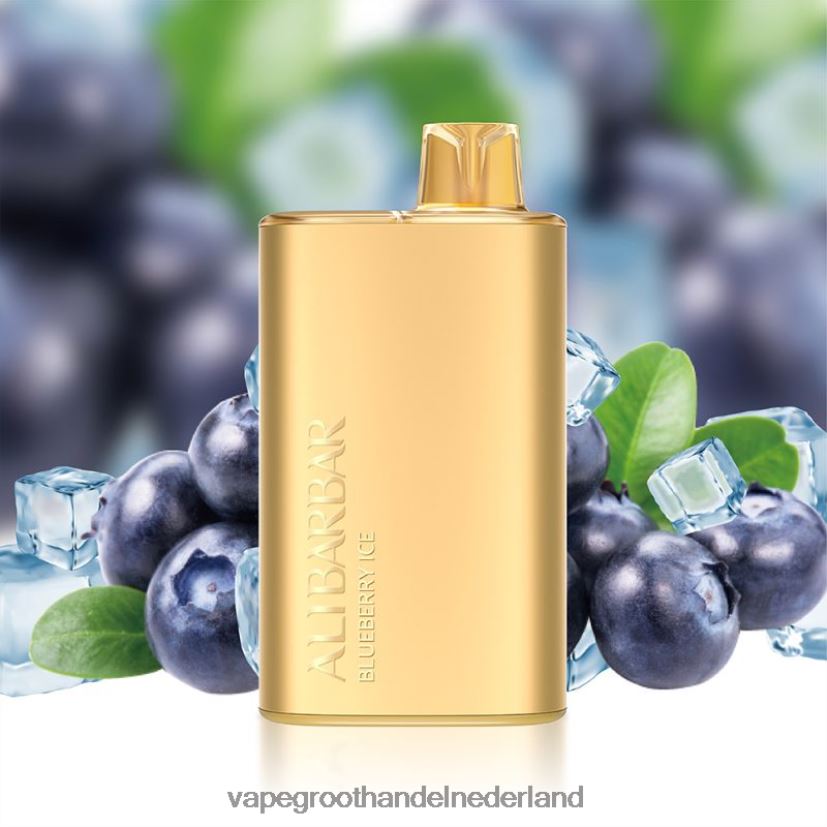 Groothandel Vape Wegwerp 8N08XX3 Alibarbar Rich 8000 wegwerpdamp bosbessen ijs