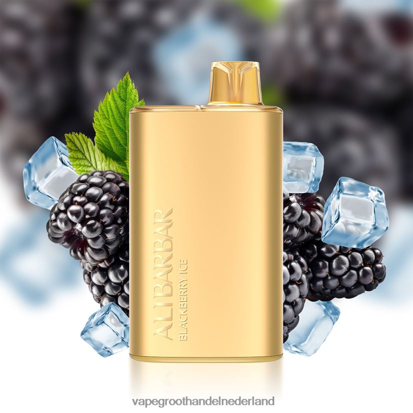 Groothandel Vape Wegwerp 8N08XX3 Alibarbar Rich 8000 wegwerpdamp bosbessen ijs