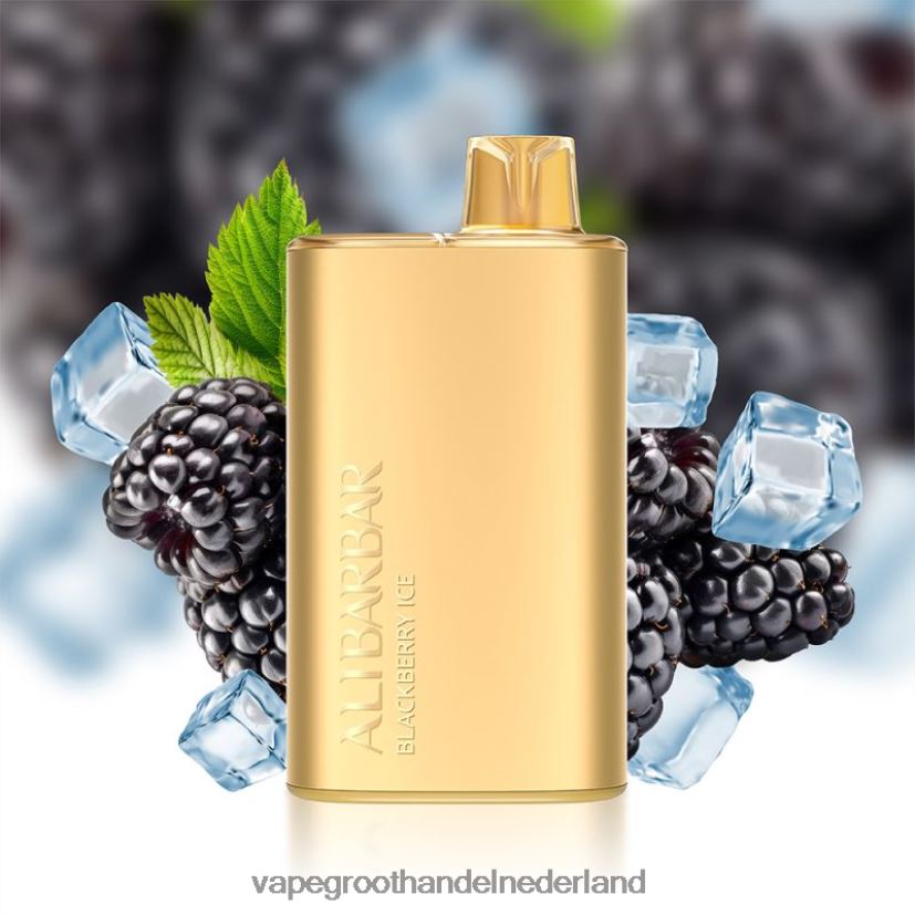 Vape Groothandel Amersfoort 8N08XX10 Alibarbar Rich 8000 wegwerpdamp bramen ijs