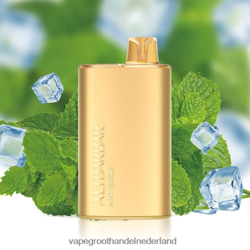 Vape Nederland 8N08XX8 Alibarbar Rich 8000 wegwerpdamp mint briesje