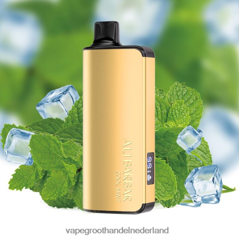 Groothandel Vape Wegwerp 8N08XX35 Alibarbar Ingot 20000 wegwerpdamp koele munt