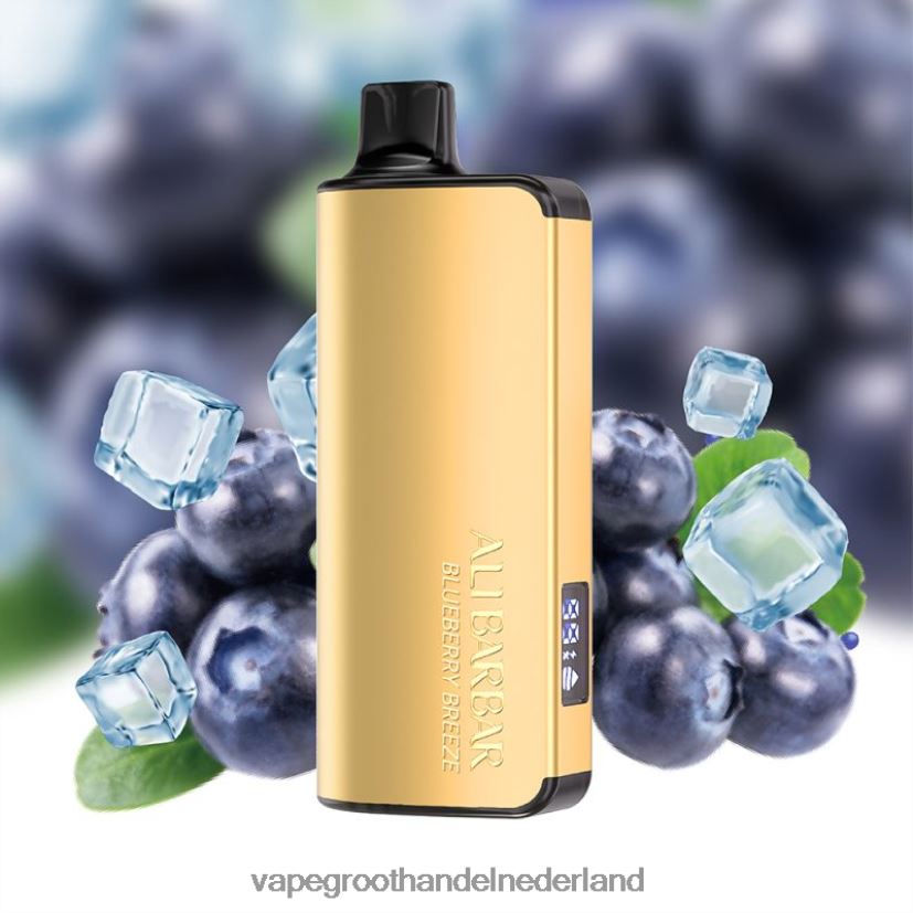 Vape Nederland 8N08XX32 Alibarbar Ingot 20000 wegwerpdamp bosbessen briesje