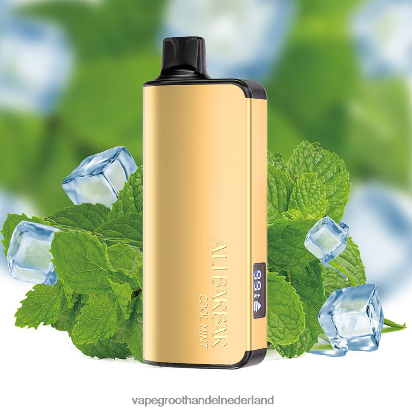 Vape Groothandel Amersfoort 8N08XX18 Alibarbar Ingot 9000 wegwerpdamp koele munt