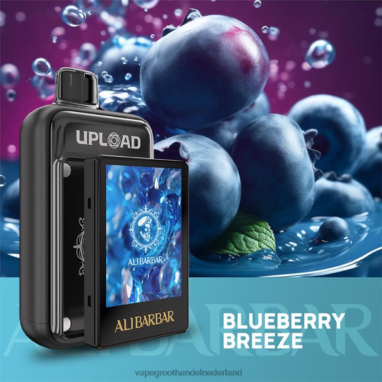 Vape Groothandel Inkoop bosbessen briesje | Alibarbar uploaden 8HF4N113