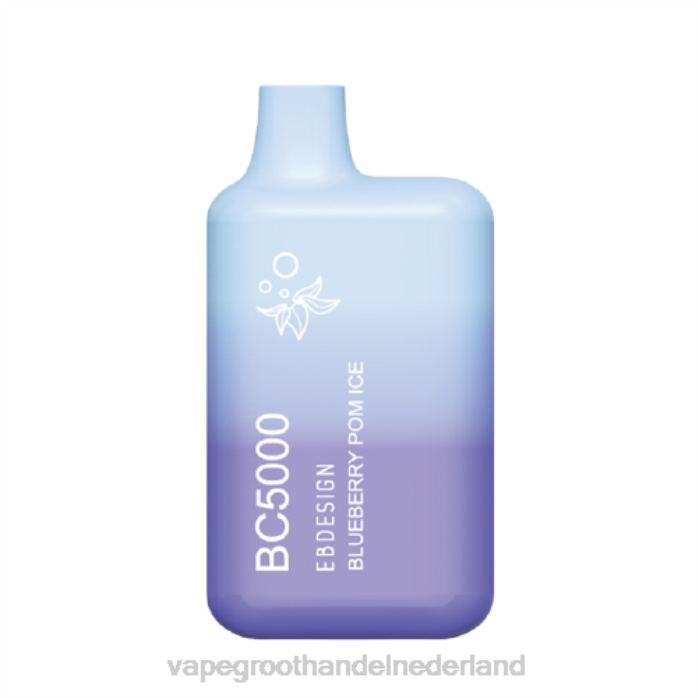 2NRV299 bosbessen pom-ijs - Vape bestseller ELFBAR BC5000