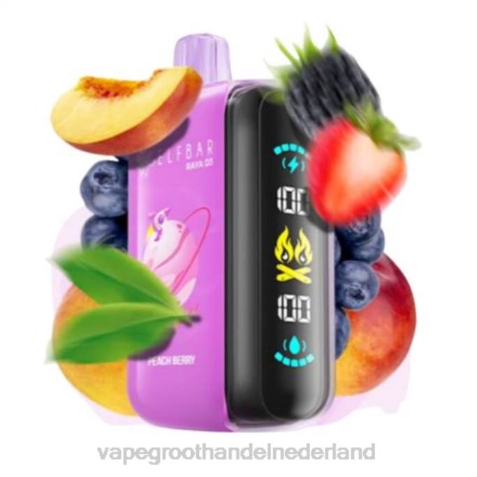 Elf Bar Raya D3 25000 - 6V6T1 wegwerpbaar Vape Groothandel Nederland