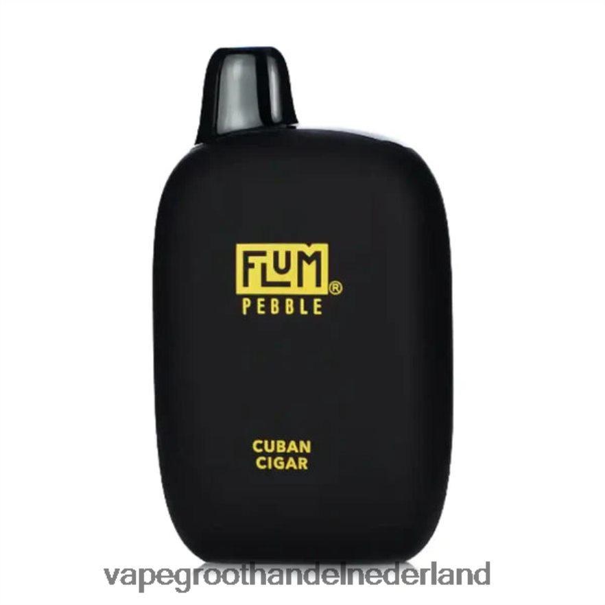 Cubaanse sigaar FLUM PEBBLES 6000 trekjes 0Z8ZHT28 Vape Bestseller