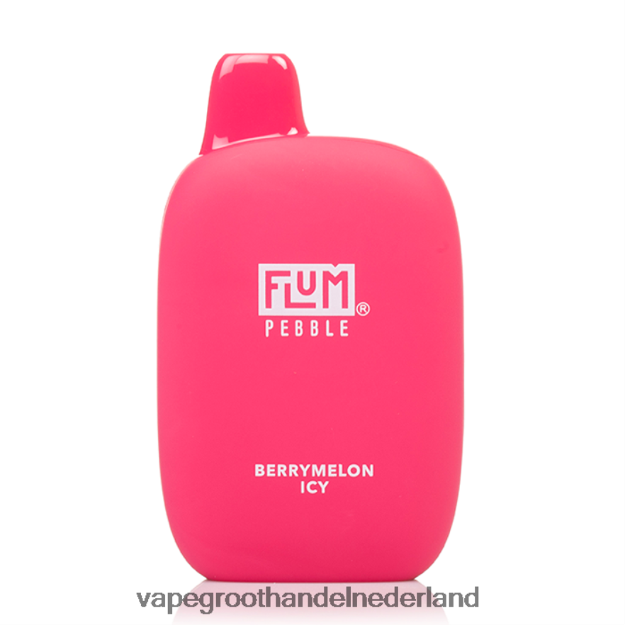 bessenmeloen ijskoud FLUM PEBBLES 6000 trekjes 0Z8ZHT16 Vape Nederland
