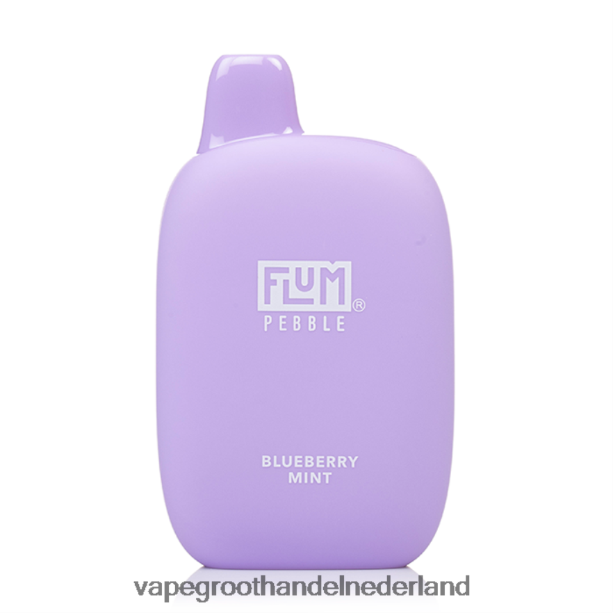 bosbessen munt FLUM PEBBLES 6000 trekjes 0Z8ZHT23 Pod Systeem Vape