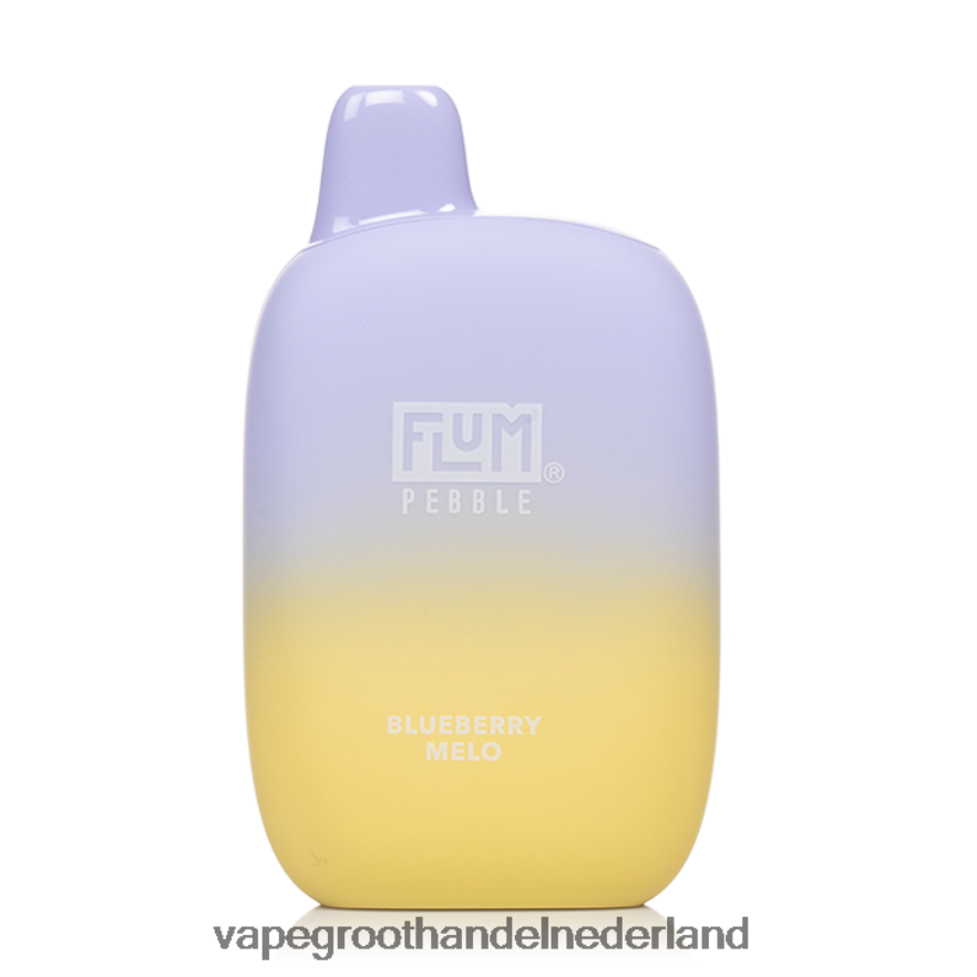 bosbessenmeloen FLUM PEBBLES 6000 trekjes 0Z8ZHT22 Wegwerpbaar Vape