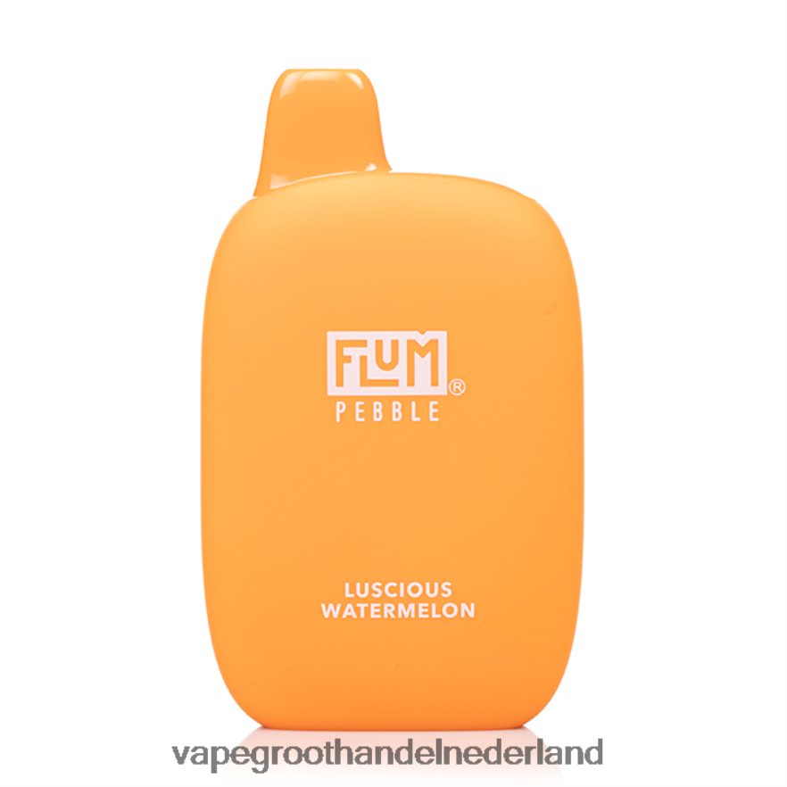 heerlijke watermeloen FLUM PEBBLES 6000 trekjes 0Z8ZHT31 Pod Systeem Vape
