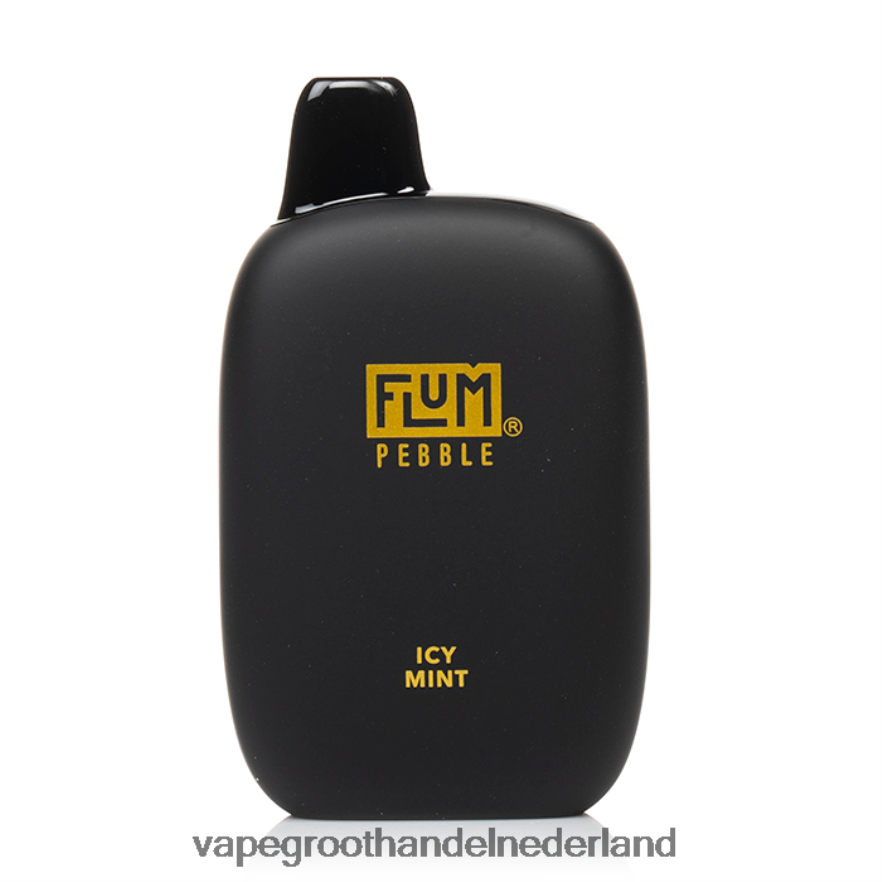 ijskoude munt FLUM PEBBLES 6000 trekjes 0Z8ZHT30 Wegwerpbaar Vape