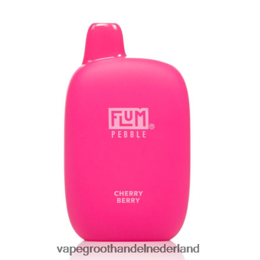 kersenbes FLUM PEBBLES 6000 trekjes 0Z8ZHT24 Vape Nederland