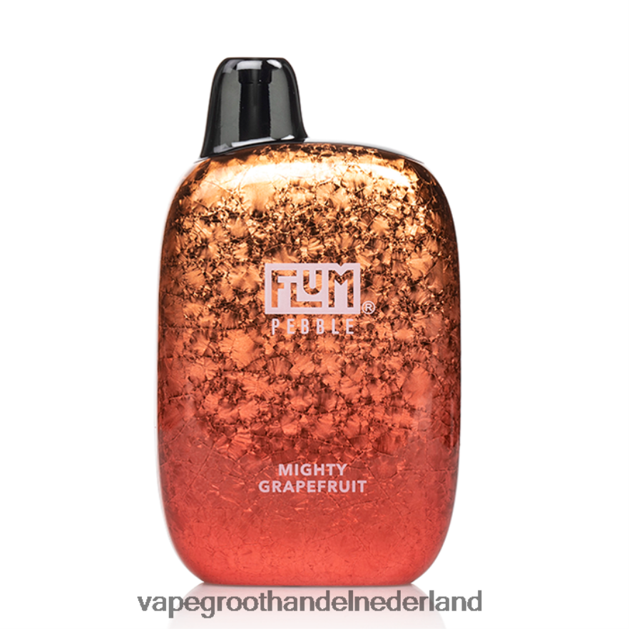 machtige grapefruit FLUM PEBBLES 6000 trekjes 0Z8ZHT36 Vape Bestseller