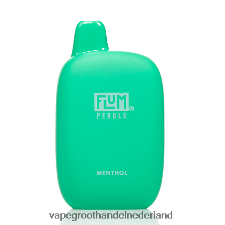 menthol FLUM PEBBLES 6000 trekjes 0Z8ZHT35 Groothandel Vape Wegwerp