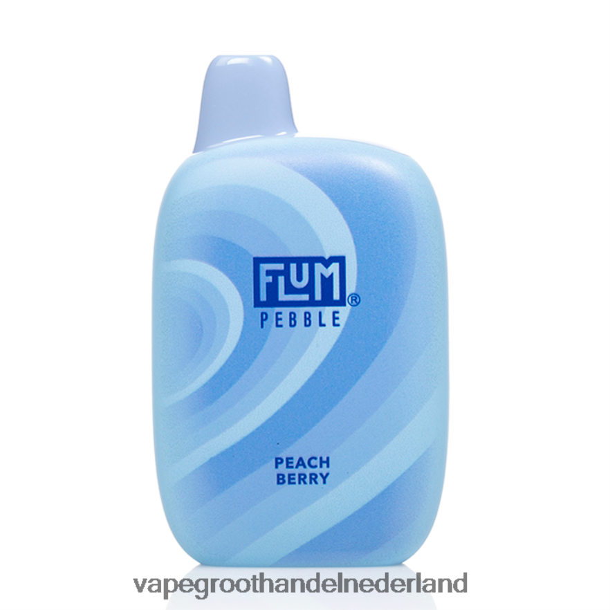 perzik bes FLUM PEBBLES 6000 trekjes 0Z8ZHT37 Vape Groothandel Inkoop
