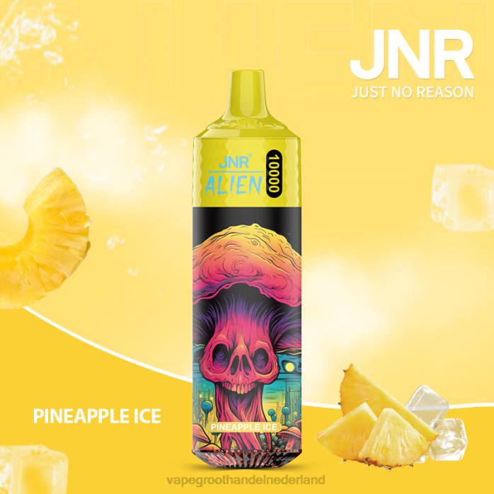 ananas-ijs