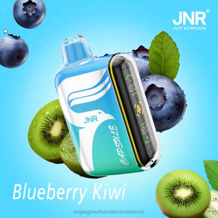 2NRV597 bosbessen-kiwi - Vape groothandel Amersfoort JNR CAPSULE