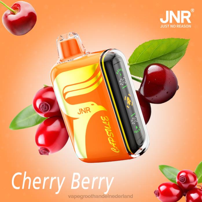 2NRV603 kersbes - pod systeem Vape JNR CAPSULE