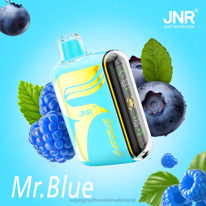 2NRV606 meneer blauw - wegwerp Vape Groningen JNR CAPSULE