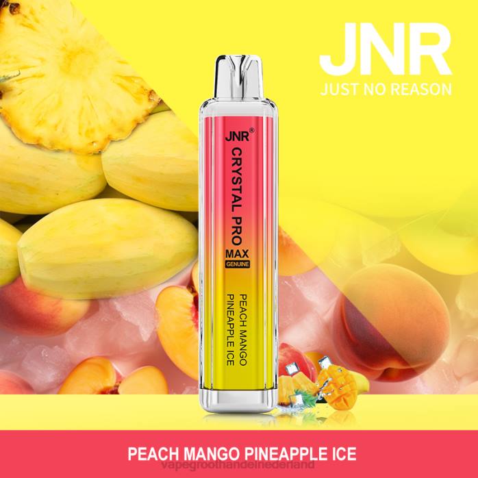 perzik-mango-ananas-ijs
