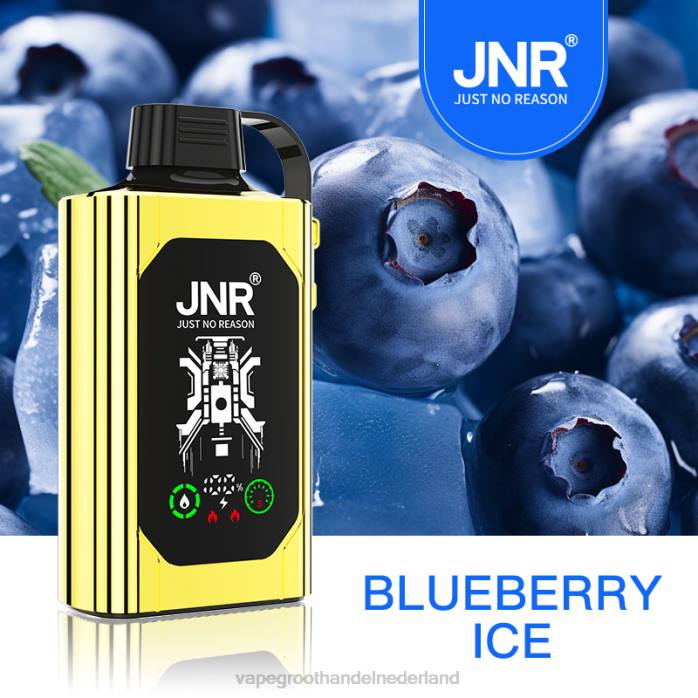 2NRV617 bosbessen ijs - Vape groothandel Amersfoort JNR SHISHA BOX