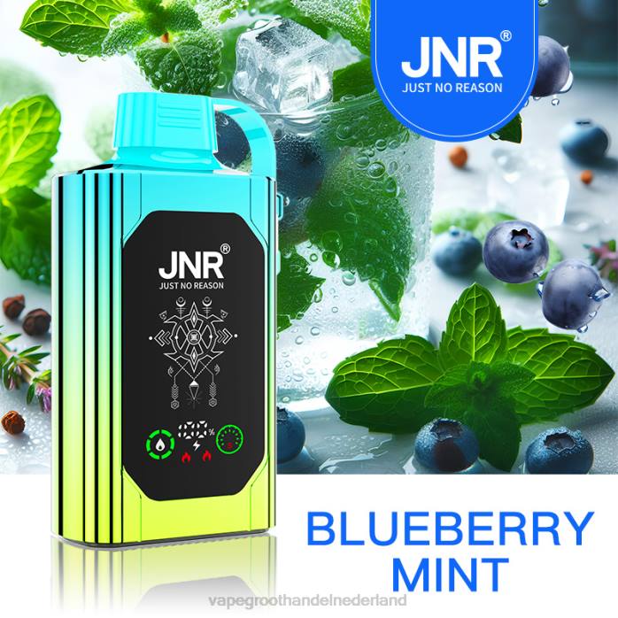 2NRV618 bosbessen munt - Vape groothandel Nederland JNR SHISHA BOX