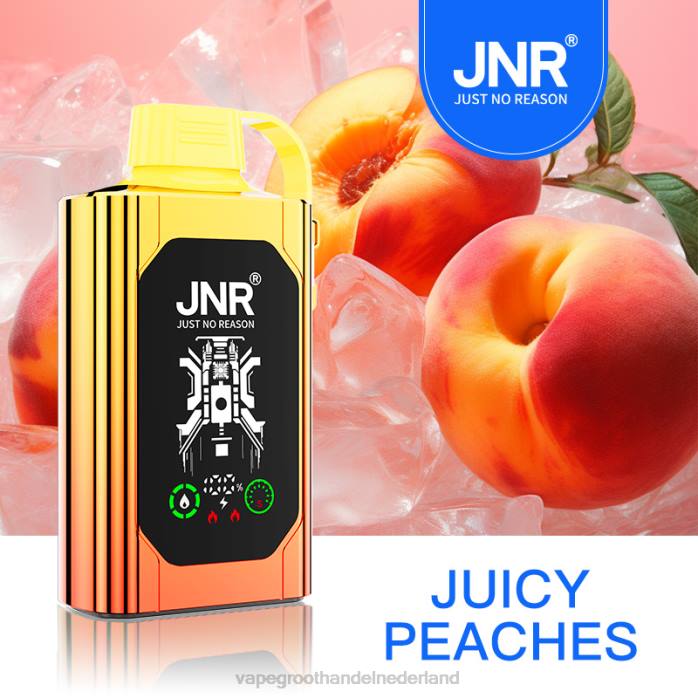 2NRV622 sappige perziken - Vape groothandel inkoop JNR SHISHA BOX