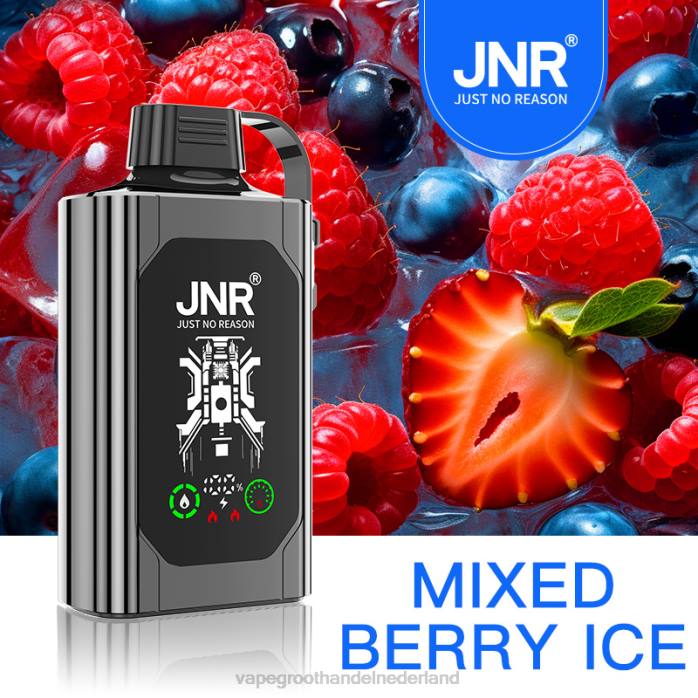 2NRV625 gemengd bessenijs - Vape Amsterdam JNR SHISHA BOX