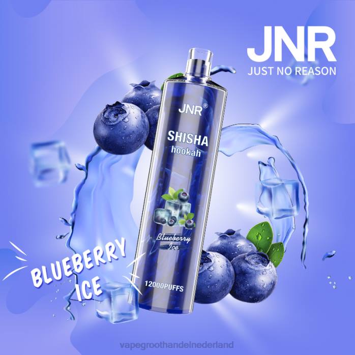 2NRV671 bosbessen ijs - wegwerpbaar Vape JNR SHISHA
