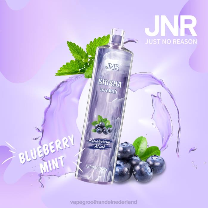 2NRV672 bosbessen munt - Vape groothandel inkoop JNR SHISHA