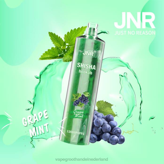 2NRV678 druiven munt - Vape groothandel Nederland JNR SHISHA