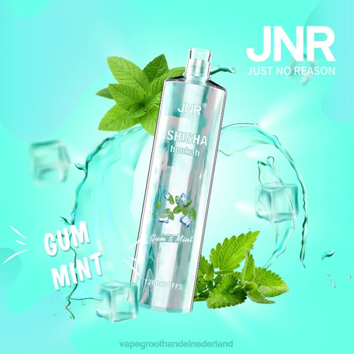 2NRV679 gom munt - Vape bestseller JNR SHISHA