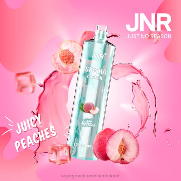 2NRV680 sappige perziken - groothandel Vape wegwerp JNR SHISHA
