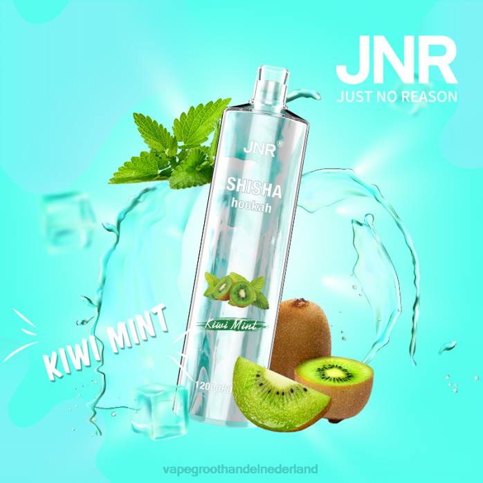 2NRV681 kiwi-munt - wegwerpbaar Vape JNR SHISHA
