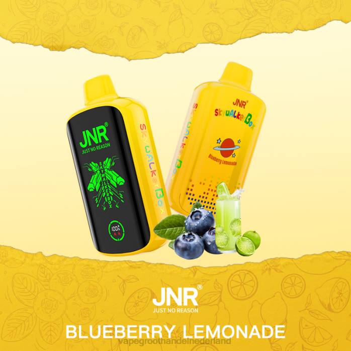 2NRV584 bosbessen limonade - Vape Nederland JNR SKYWALKER BOX