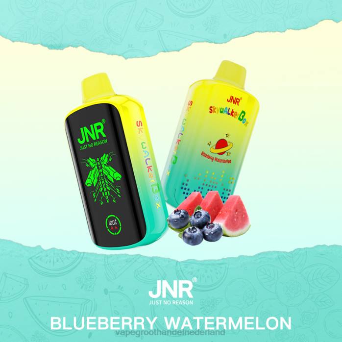 2NRV586 bosbessen watermeloen - wegwerp Vape Groningen JNR SKYWALKER BOX