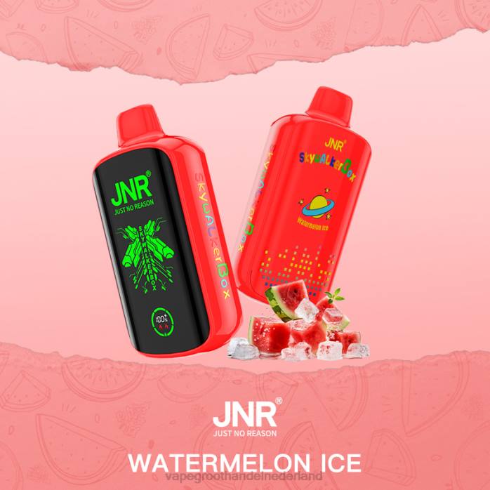 watermeloen ijs