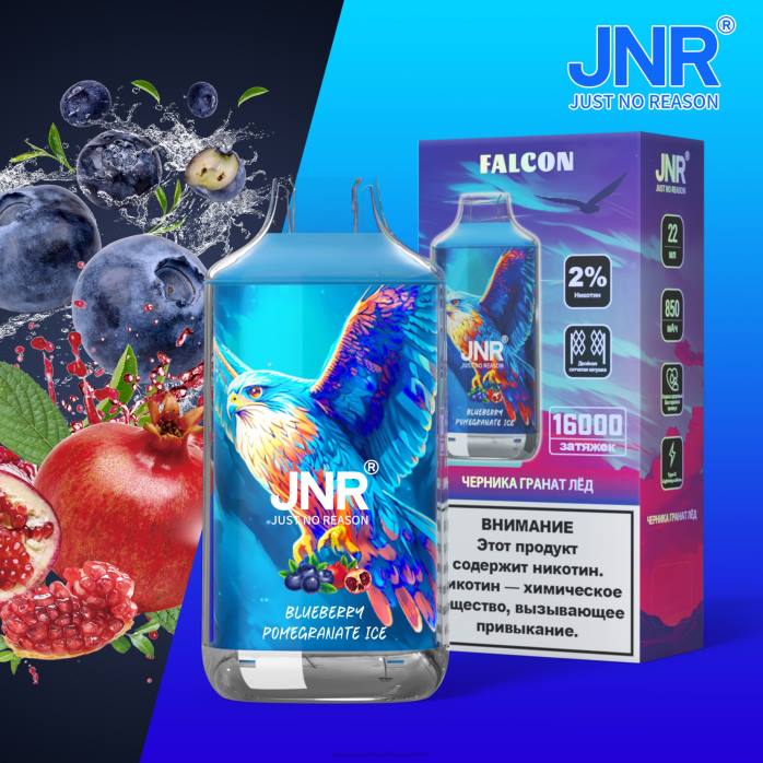 2NRV698 bosbessen-granaatappelijs - Vape groothandel Nederland JNR FALCON