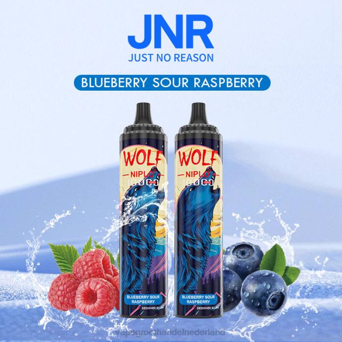 2NRV762 bosbes zure framboos - Vape groothandel inkoop JNR WOLF NIPLO