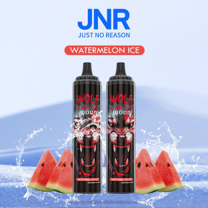 watermeloen ijs