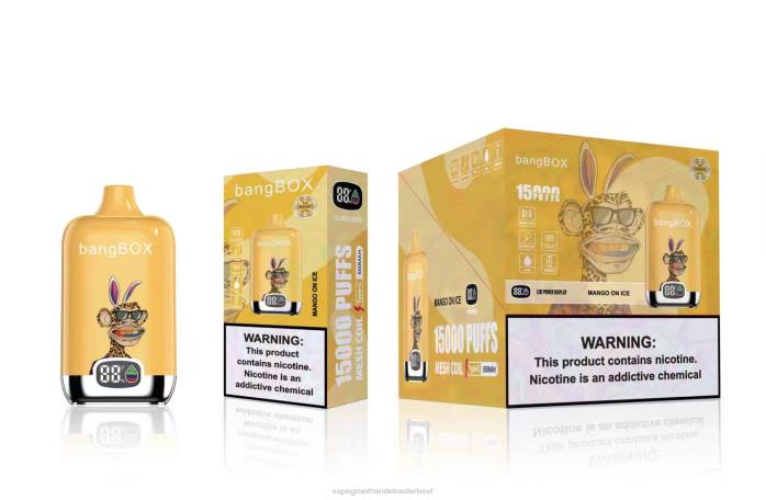 2NRV137 mango op ijs - Vape groothandel Amersfoort Bang Box 15000