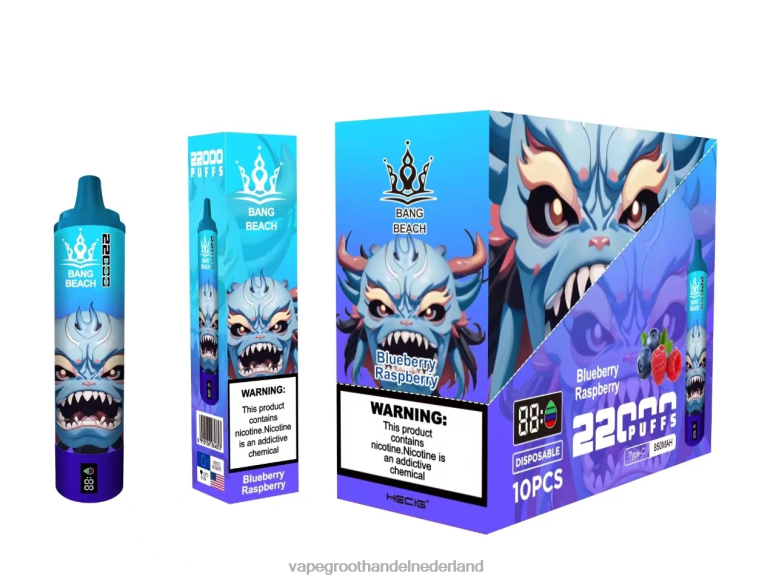 Bang Beach 22000 trekjes slim scherm 2HL2X14 - Vape Bestseller bosbes framboos