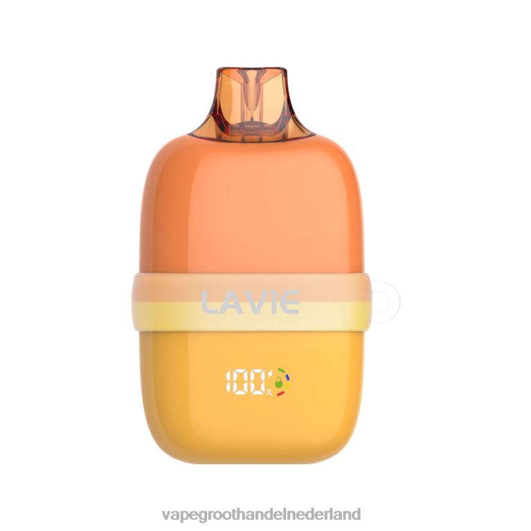 LAVIE INSIDER 12000 trekjes 60LDV83 | Groothandel Vape Wegwerp mango-ijs