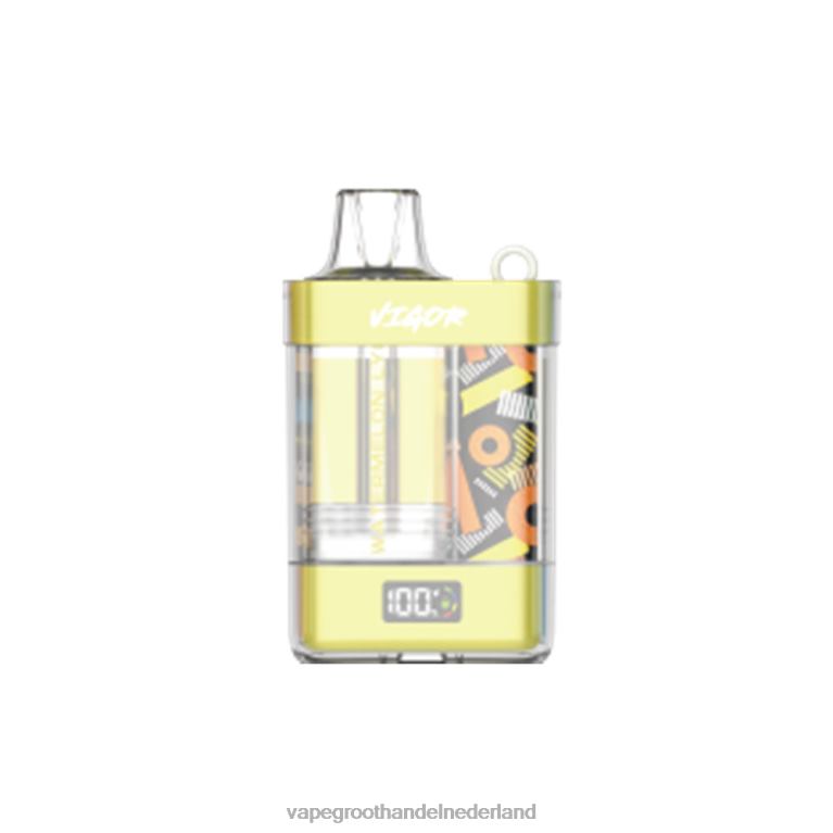 LAVIE VIGOR 15000 trekjes 60LDV11 | Groothandel Vape Wegwerp watermeloen lychee